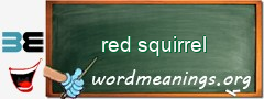 WordMeaning blackboard for red squirrel